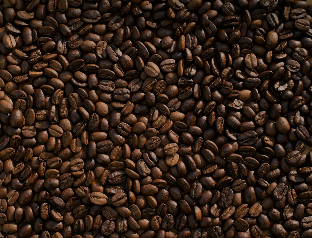 Freshly roasted coffee beans spilling from a scoop