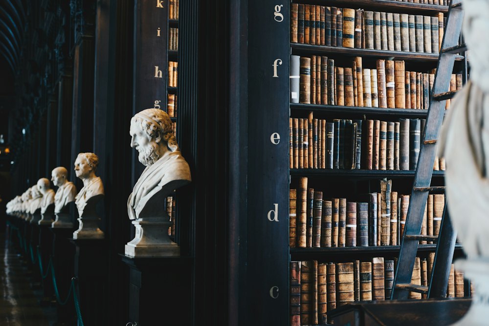 Tall shelves of leather-bound law books in a quiet library