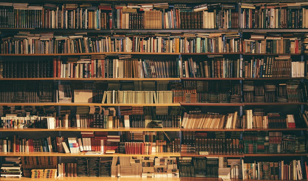 Tall wooden bookshelves filled with books in warm light