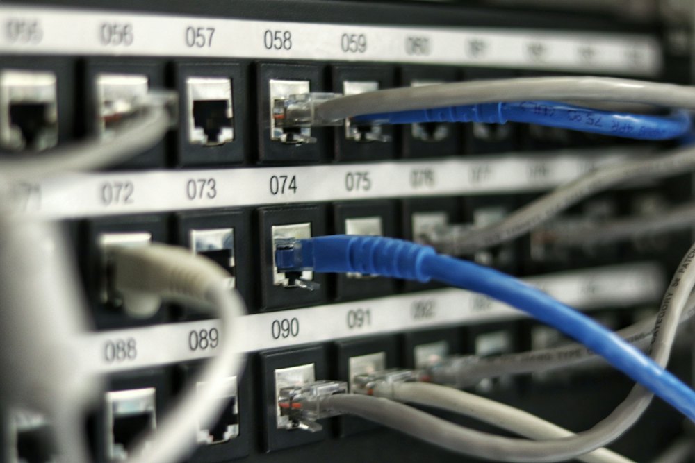 Bundles of network cables plugged into a switch