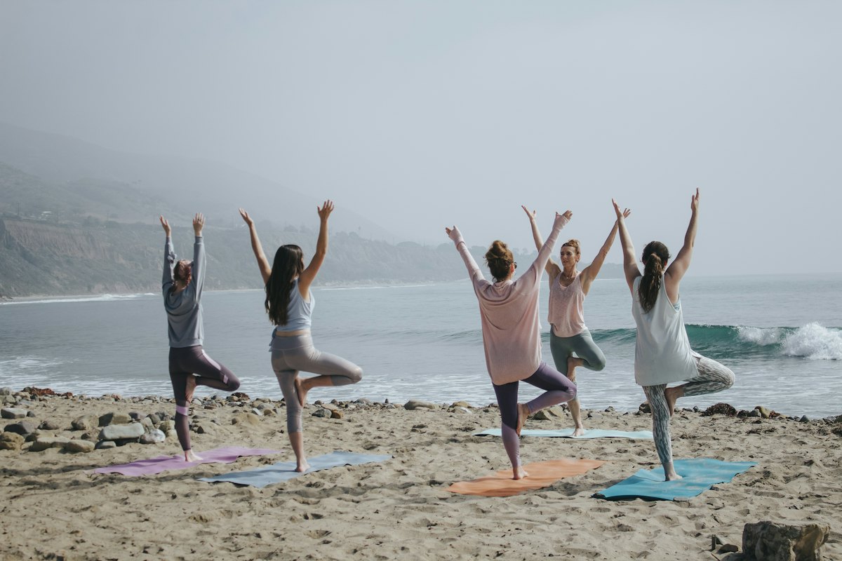 Yoga students resting in a sunlit studio
