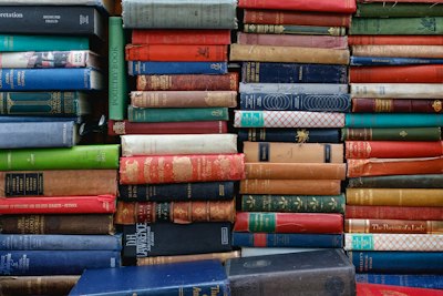 Books arranged on a wooden shelf