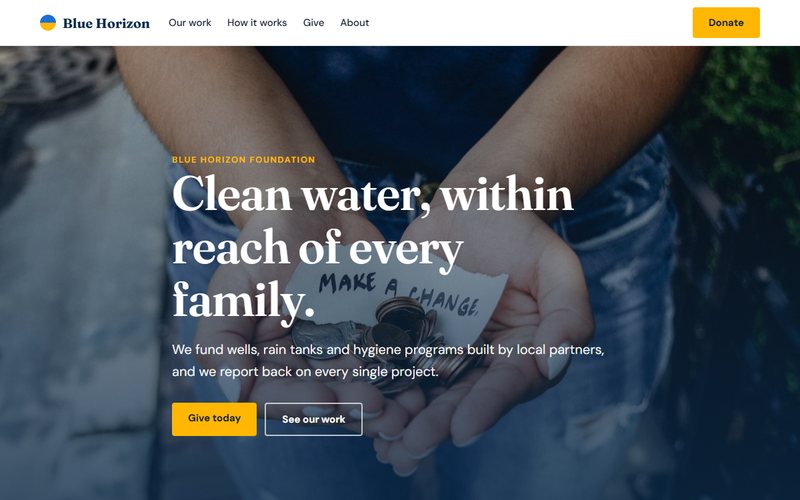Blue Horizon Foundation website preview
