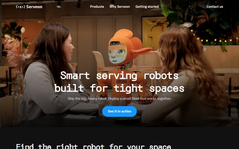 Serveon website preview